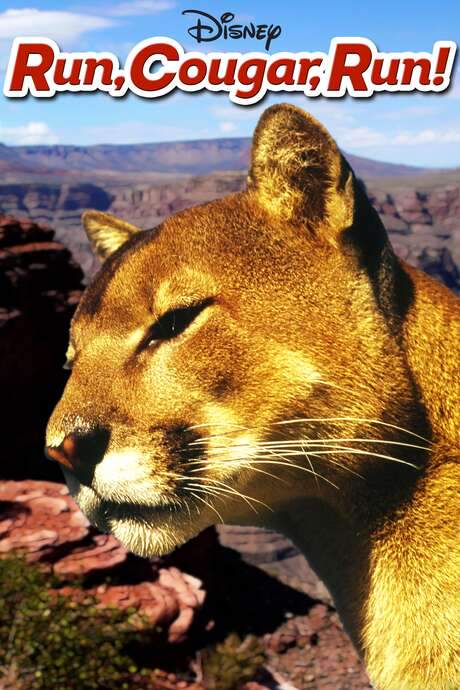 Run, Cougar, Run